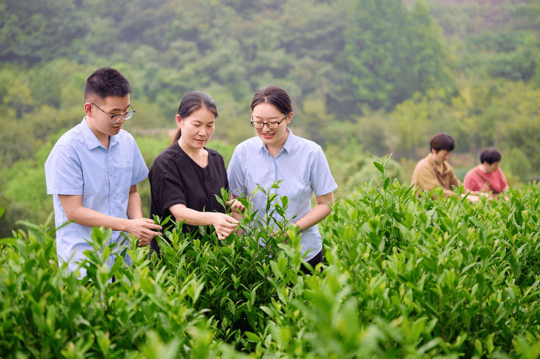 “小特产”成果“大财富” ——完美体育官网修行常州溧阳支行助力特质农业发扬(图1)